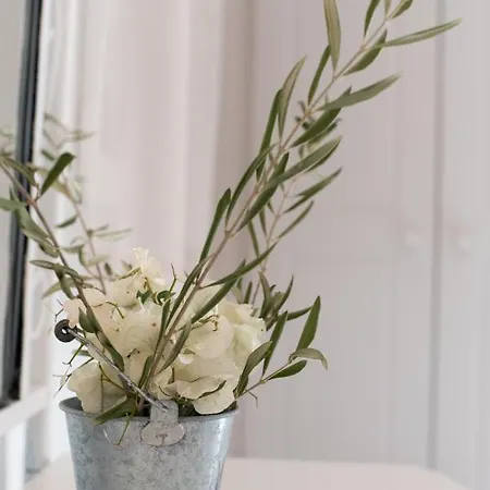 Krotiribay Adults Apartahotel Páros