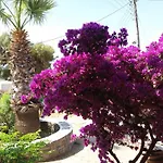 Krotiribay Adults Ξενοδοχείο με διαμερίσματα 4*