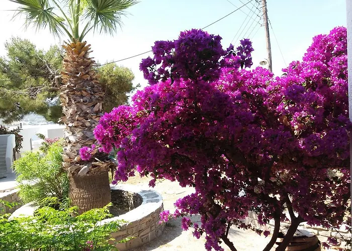 Krotiribay Adults Ξενοδοχείο με διαμερίσματα 4*