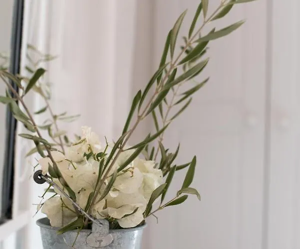 Krotiribay Adults Ξενοδοχείο με διαμερίσματα Πάρος